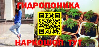 mdma Камышлов
