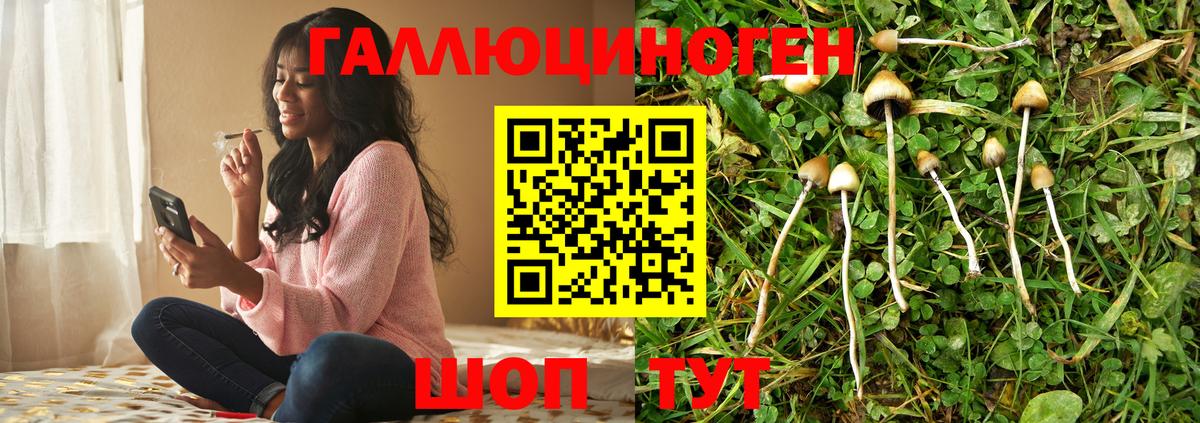Галлюциногенные грибы GOLDEN TEACHER  Галлюциногенные грибы ЛСД  как найти   Кимры  Вход с VPN 